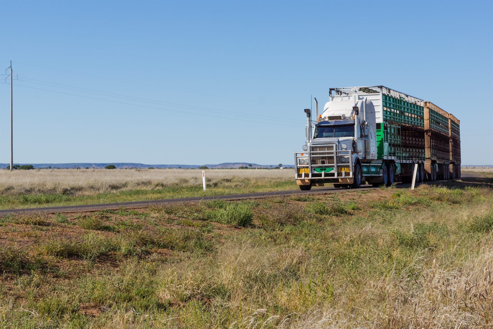 Livestock road-train on a rural highway